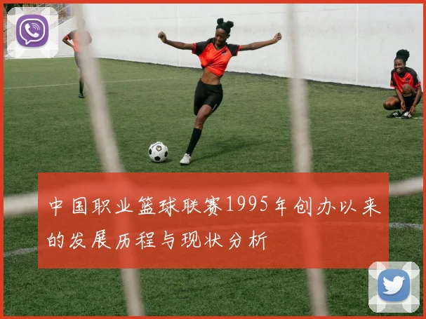 中国职业篮球联赛1995年创办以来的发展历程与现状分析