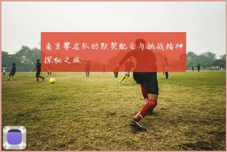 南京攀岩队的默契配合与挑战精神探秘之旅