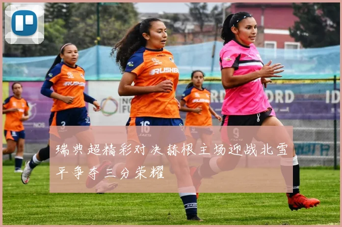瑞典超精彩对决赫根主场迎战北雪平争夺三分荣耀