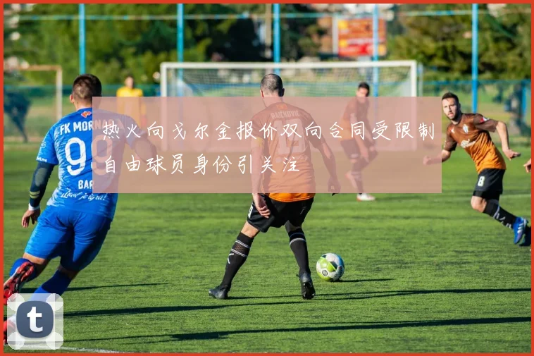 热火向戈尔金报价双向合同受限制自由球员身份引关注