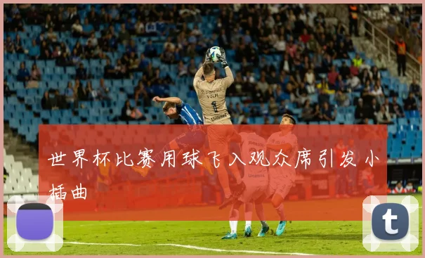 世界杯比赛用球飞入观众席引发小插曲