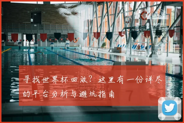 寻找世界杯回放?这里有一份详尽的平台分析与避坑指南