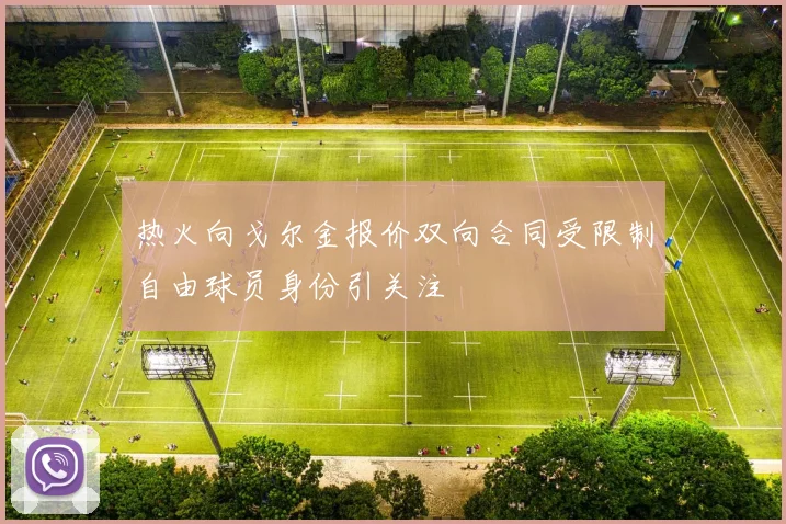 热火向戈尔金报价双向合同受限制自由球员身份引关注