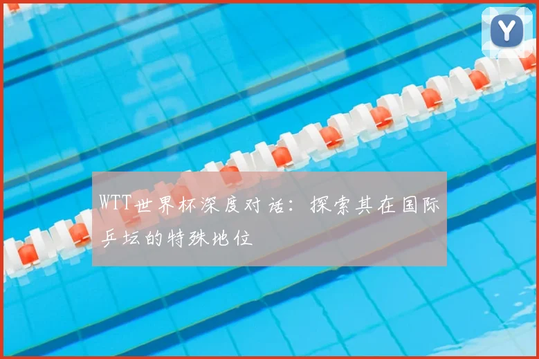 WTT世界杯深度对话：探索其在国际乒坛的特殊地位