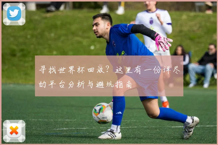 寻找世界杯回放?这里有一份详尽的平台分析与避坑指南