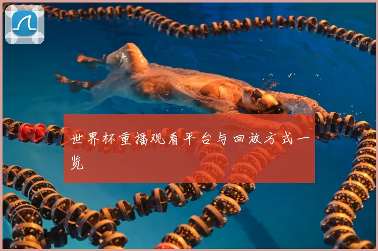 世界杯重播观看平台与回放方式一览