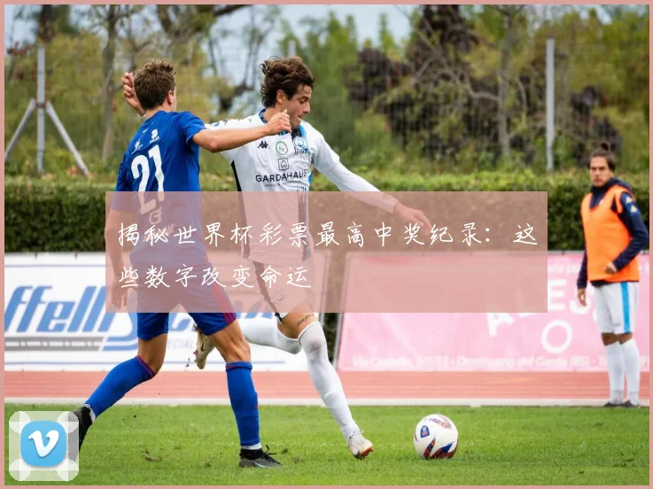 揭秘世界杯彩票最高中奖纪录:这些数字改变命运
